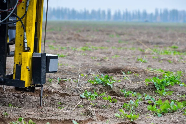 Soil Sampling Automated Probe Soil Samples Taking Sample Soil Probe — Stock Photo, Image