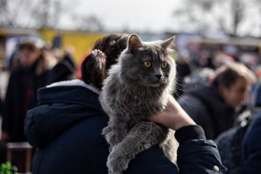 LVIV, UKRAINE - 12 Mart 2022 Ukrayna 'daki savaş sırasında insani yardım felaketi. Savaşın parçaladığı bölgelerden bir kediyle gelen mülteciler Lviv Tren İstasyonu 'ndaki Avrupa' ya kaçıyorlar..