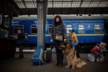 LVIV, UKRAINE - 02 Nisan 2022: Ukrayna 'daki savaş sırasında insani felaket. Zaporizhia 'lı uzun saçlı bir Alman çoban köpeği olan mülteci Lviv Tren İstasyonu' ndaki Avrupa 'ya kaçıyor..