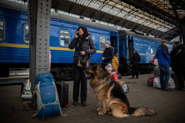 LVIV, UKRAINE - 02 Nisan 2022: Ukrayna 'daki savaş sırasında insani felaket. Zaporizhia 'lı uzun saçlı bir Alman çoban köpeği olan mülteci Lviv Tren İstasyonu' ndaki Avrupa 'ya kaçıyor..