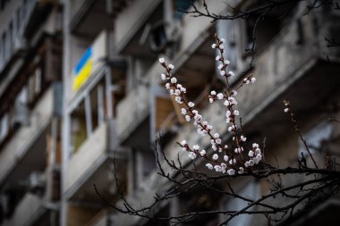 KYIV, UKRAINE - 21 Nisan 2022: Balkon cephesinde Ukrayna bayrağı Koshytsia caddesinde bir apartman dairesi, Rusya 'nın Ukrayna' yı işgalinin ikinci gününde Cruise füzesiyle yıkıldı