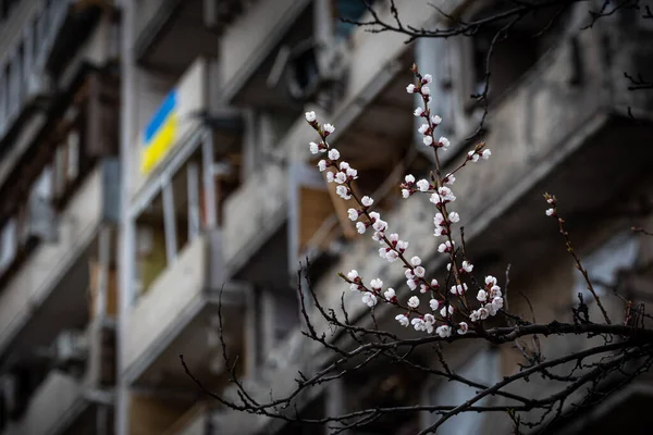 KYIV, UKRAINE - 21 Nisan 2022: Balkon cephesinde Ukrayna bayrağı Koshytsia caddesinde bir apartman dairesi, Rusya 'nın Ukrayna' yı işgalinin ikinci gününde Cruise füzesiyle yıkıldı