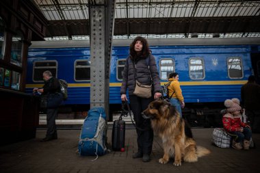 LVIV, UKRAINE - 02 Nisan 2022: Ukrayna 'daki savaş sırasında insani felaket. Zaporizhia 'lı uzun saçlı bir Alman çoban köpeği olan mülteci Lviv Tren İstasyonu' ndaki Avrupa 'ya kaçıyor..