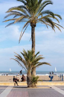 VALENCIA, İspanya - 17 Nisan 2021: Valencia, İspanya 'da Malvarrosa' nın güneşli sonbahar plajlarında yaz titreşimleri. Deniz kıyısında palmiye ağaçları olan uzun bir set caddesi tatilcileri cezbeder..