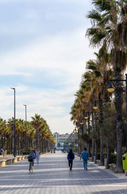 Valencia, İspanya 'da Malvarrosa' nın güneşli sonbahar plajlarında yaz titreşimleri. Deniz kıyısında palmiye ağaçları olan uzun bir set caddesi, tatilcileri köpüklü dalgalar boyunca yapayalnız yürüyüşlere çeker.