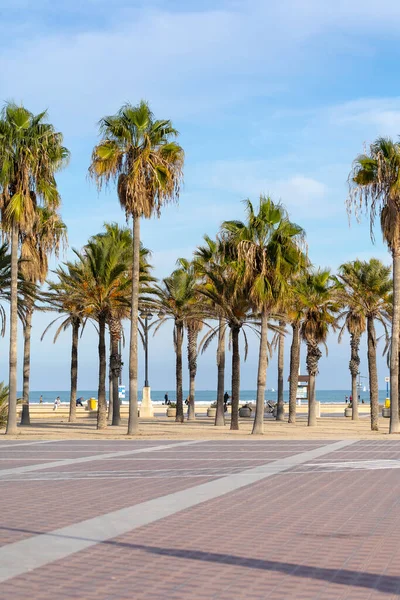 Summer vibes on the sunny autumn beach of Malvarrosa in Valencia, Spain. A long embankment avenue with palm trees on the sea coast attracts vacationers to solitary walks along the bubbling foamy waves