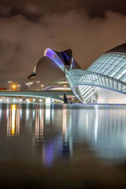 VALENCIA, SPAIN - NOV 18, 2021: Santiago Calatrava ve Felix Candela tarafından tasarlanan Sanat ve Bilim Şehri 'ndeki Sanat ve Sanat Sarayı L' Hemisferic ve Kraliçe Sofya Sarayı