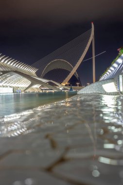 VALENCIA, SPAIN - NOV 18, 2021: Assut de l 'Or Köprüsü (Serreria Köprüsü) ve Santiago Calatrava ve Felix Candela tarafından tasarlanan The City of Arts and Sciences' taki Agora
