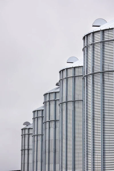 Galvanized steel silos for grain storage