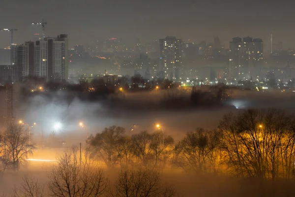 Нічний Пейзаж Великого Міста Неймовірно Яскраве Багатокольорове Світло Густому Тумані — стокове фото