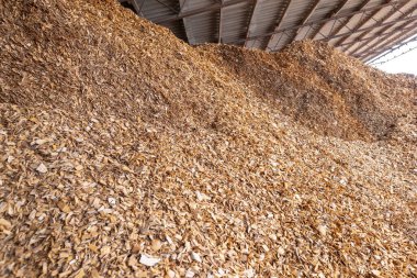 piles of hardwood wood chips are stored under the canopy as solid fuel