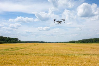 A modern solution in agricultural. Use of robotic systems with agriculture spraying drone fly to sprayed spraying chemical from insects - insecticides, fungicides, acaricide, or herbicides from weeds.