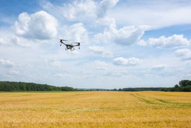 A modern solution in agricultural. Use of robotic systems with agriculture spraying drone fly to sprayed spraying chemical from insects - insecticides, fungicides, acaricide, or herbicides from weeds.