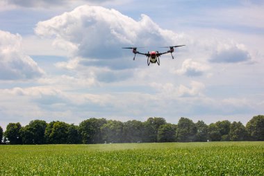 A modern solution in agricultural. Use of robotic systems with agriculture spraying drone fly to sprayed spraying chemical from insects - insecticides, fungicides, acaricide, or herbicides from weeds.