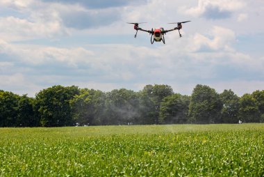 A modern solution in agricultural. Use of robotic systems with agriculture spraying drone fly to sprayed spraying chemical from insects - insecticides, fungicides, acaricide, or herbicides from weeds.