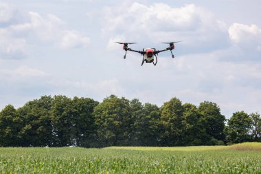 A modern solution in agricultural. Use of robotic systems with agriculture spraying drone fly to sprayed spraying chemical from insects - insecticides, fungicides, acaricide, or herbicides from weeds.