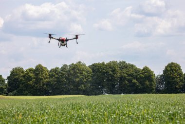 A modern solution in agricultural. Use of robotic systems with agriculture spraying drone fly to sprayed spraying chemical from insects - insecticides, fungicides, acaricide, or herbicides from weeds.