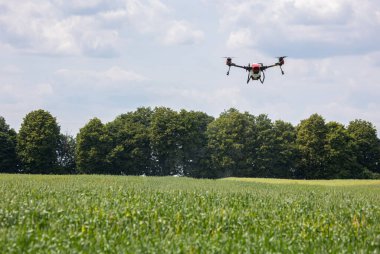 A modern solution in agricultural. Use of robotic systems with agriculture spraying drone fly to sprayed spraying chemical from insects - insecticides, fungicides, acaricide, or herbicides from weeds.