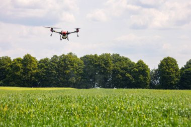 A modern solution in agricultural. Use of robotic systems with agriculture spraying drone fly to sprayed spraying chemical from insects - insecticides, fungicides, acaricide, or herbicides from weeds.