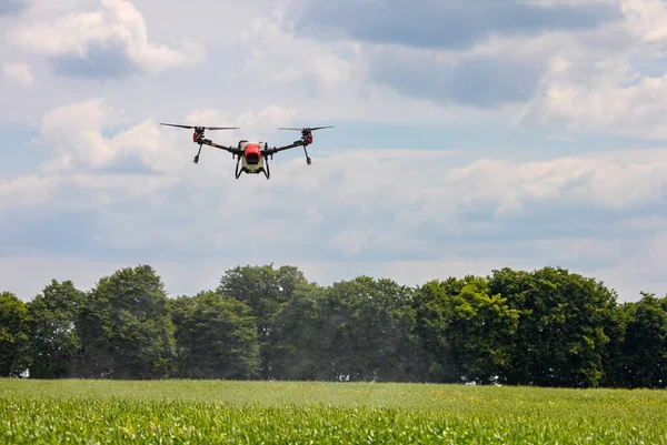 A modern solution in agricultural. Use of robotic systems with agriculture spraying drone fly to sprayed spraying chemical from insects - insecticides, fungicides, acaricide, or herbicides from weeds.