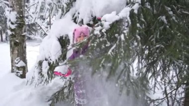 A cute little girl in a purple jumpsuit and a pink hat shakes snow off the fir branches