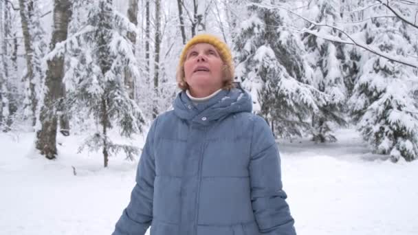 Hermosa mujer mayor con sombrero amarillo y abrigo azul está caminando en el bosque de nieve — Vídeos de Stock