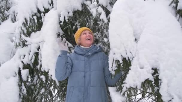 Beautiful senior woman in yellow hat and blue coat is shakes the snow off the fir branches — Vídeo de Stock