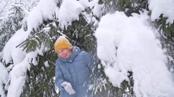 Красива старша жінка в жовтому капелюсі і синьому пальто трясе сніг з ялинових гілок — стокове відео