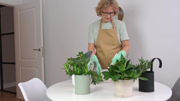 Wanita senior yang peduli untuk House Plant — Stok Video