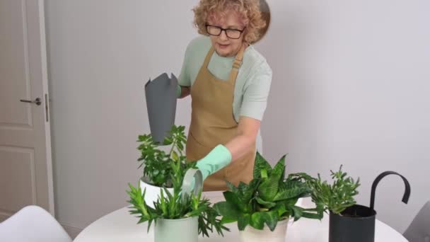 La donna anziana sta innaffiando la pianta — Video Stock