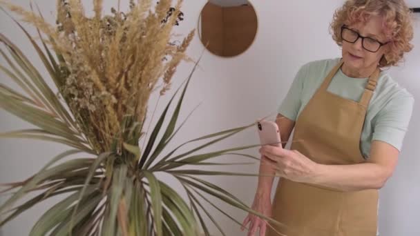 Portrait of senior female in yellow apron takes photos of dried flowers and herbs — Stock Video