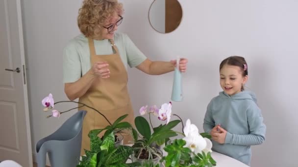 Idős nő gyerekkel permetezi az orchideáit Ház Növények — Stock videók
