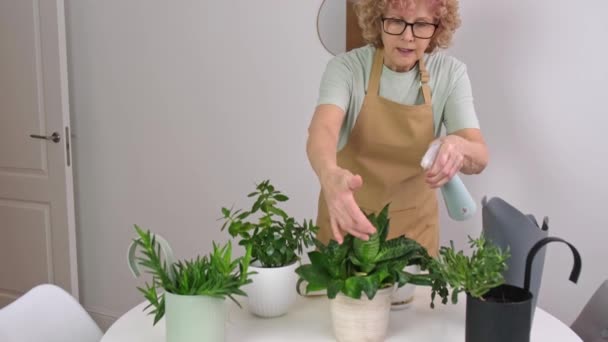 Femme âgée pulvérise pour la plante de maison — Video