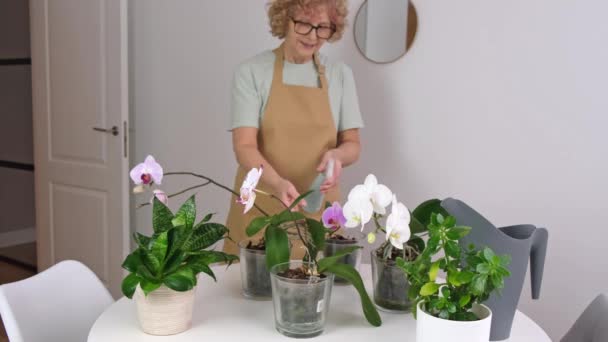 Ηλικιωμένη γυναίκα ψεκάζει για το σπίτι ορχιδέες φυτών — Αρχείο Βίντεο