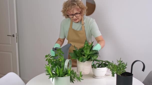 Mujer mayor está regando la planta — Vídeo de stock