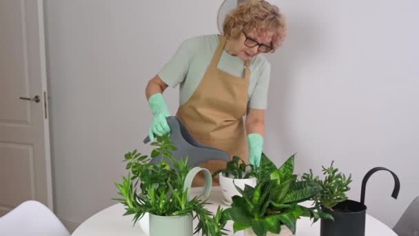 Mujer mayor está regando la planta — Vídeo de stock