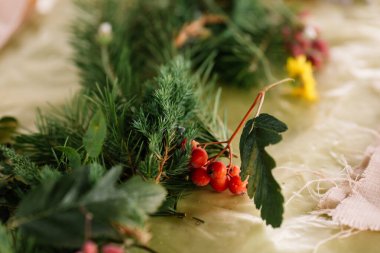 kırmızı böğürtlen