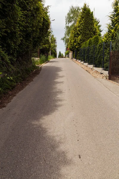 Uzaktaki ağaçlar arasındaki yol