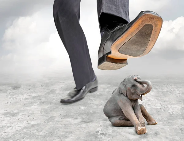 ビジネスマンは彼の足で象を粉砕しようとしている — ストック写真