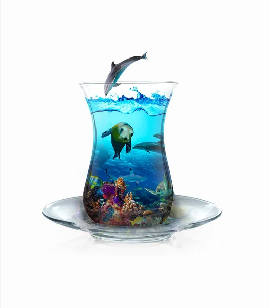 Submarine Tea Cups Dolphin Fish Turtle Sea Lion Tropical Fish — Stock Photo, Image