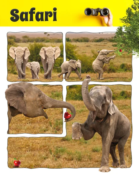 フォトノベル 象の家族の話 就学前教育 動物を知ること 写真操作 小さな象と彼の家族 サファリ旅行 象の話 — ストック写真