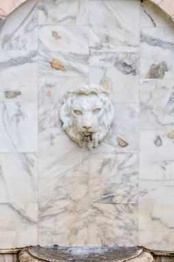 Ağızdan mermer bir duvara dökülen bir su akıntısı ile bir aslan kafası ile Bas-rahatlama. Dekoratif Çeşme