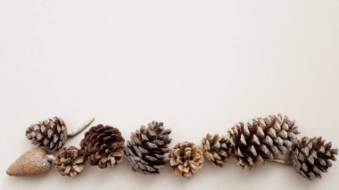 Spruce ve çam kozalakları alttan hafif bir zemin üzerine serilmiştir. Yeni yıl kartı. Üst görünüm