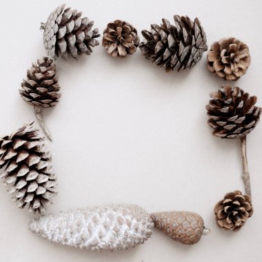 Çarşafın kenarı boyunca çeşitli koniler çerçeve şeklinde serilmiştir. Üst Manzara. Yeni yıl kartı