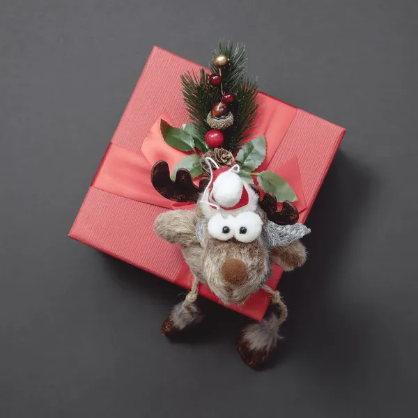 一只有趣的软玩具鹿坐在一个红色礼品盒上，礼品盒上装饰着一根针叶树。圣诞作文 — 图库照片