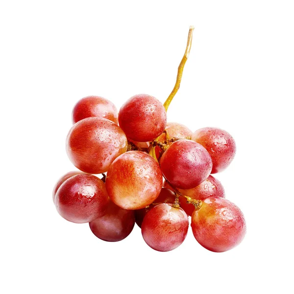 A fresh bunch of red, ripe, moist grapes. Composition with grape tassel on white background — Stock Photo, Image
