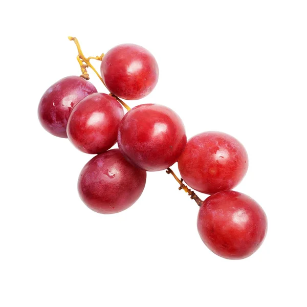 Un pequeño racimo de uvas rojas maduras. Fruta jugosa madura con gotas de humedad. Ramo de uvas sobre fondo blanco. — Foto de Stock