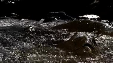 Nehir suyu güneşte süzülüyor ve parlıyor. Büyük taşların üzerinden akıyor. Yakın çekim video. Alçak tuş