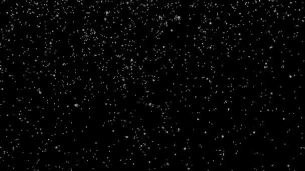 Los copos de nieve redondos blancos vuelan sobre un fondo negro. Animación de partículas de nieve. Pronóstico del tiempo. Renderizado 3D. — Vídeos de Stock