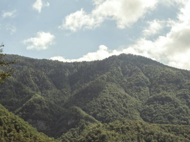 Beyaz bulutlu mavi gökyüzüne karşı yeşil ağaçlık dağ sırası